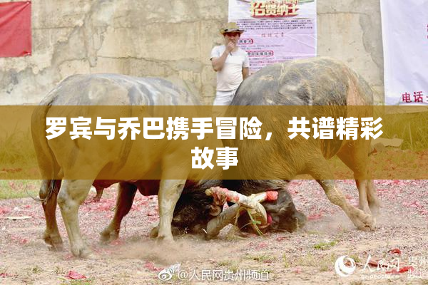 罗宾与乔巴携手冒险，共谱精彩故事