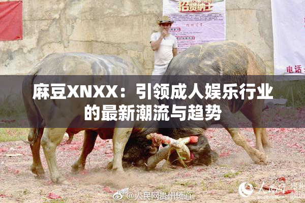 麻豆XNXX：引领成人娱乐行业的最新潮流与趋势