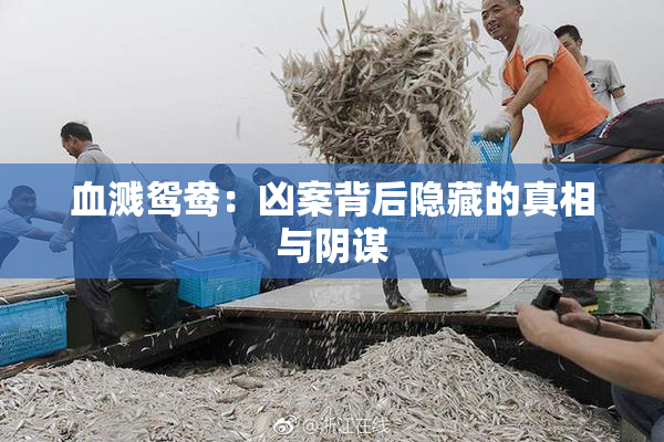 血溅鸳鸯：凶案背后隐藏的真相与阴谋