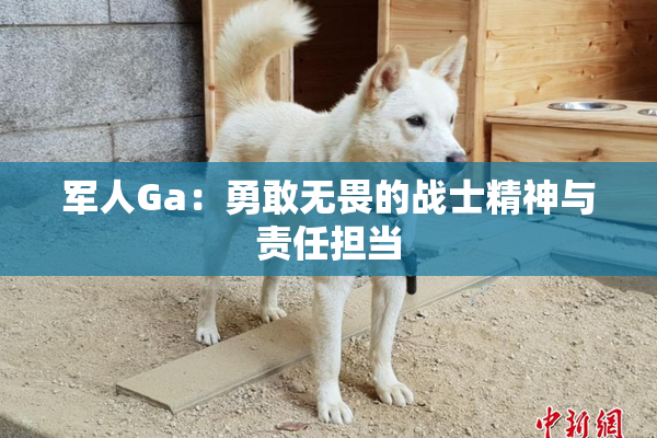 军人Ga：勇敢无畏的战士精神与责任担当