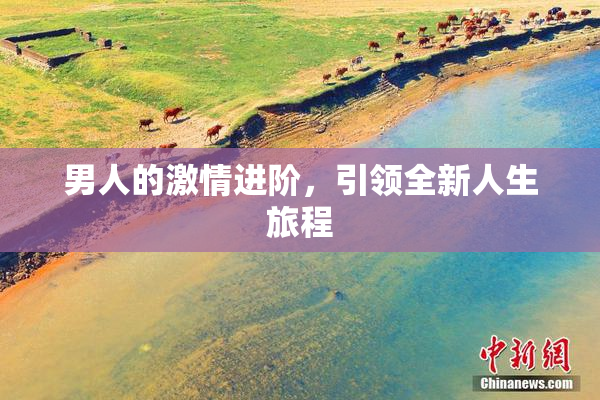 男人的激情进阶，引领全新人生旅程