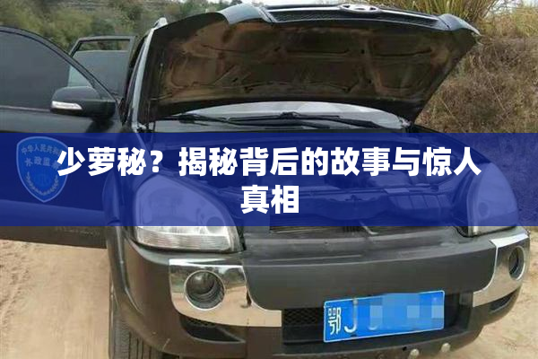 少萝秘？揭秘背后的故事与惊人真相