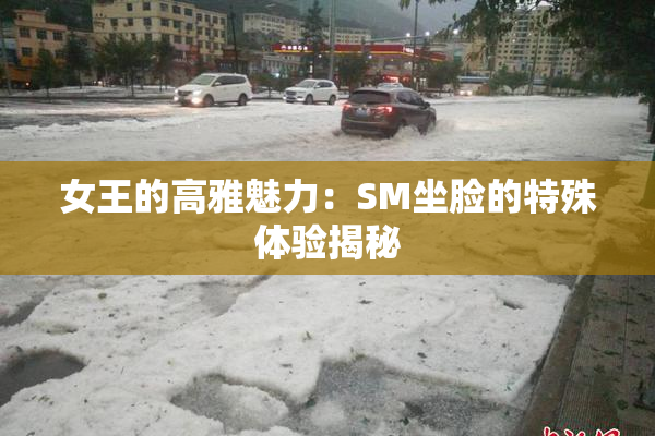 女王的高雅魅力：SM坐脸的特殊体验揭秘