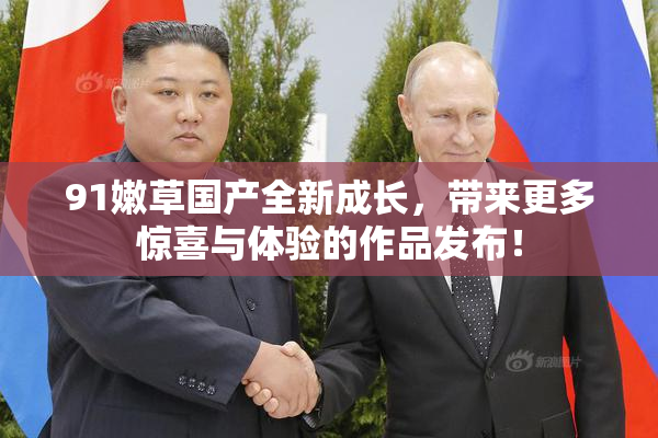 91嫩草国产全新成长，带来更多惊喜与体验的作品发布！