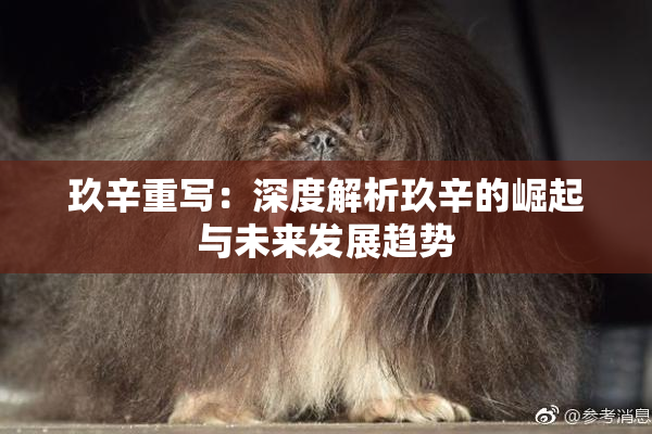 玖辛重写：深度解析玖辛的崛起与未来发展趋势