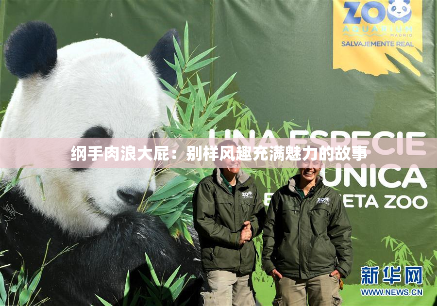 纲手肉浪大屁：别样风趣充满魅力的故事