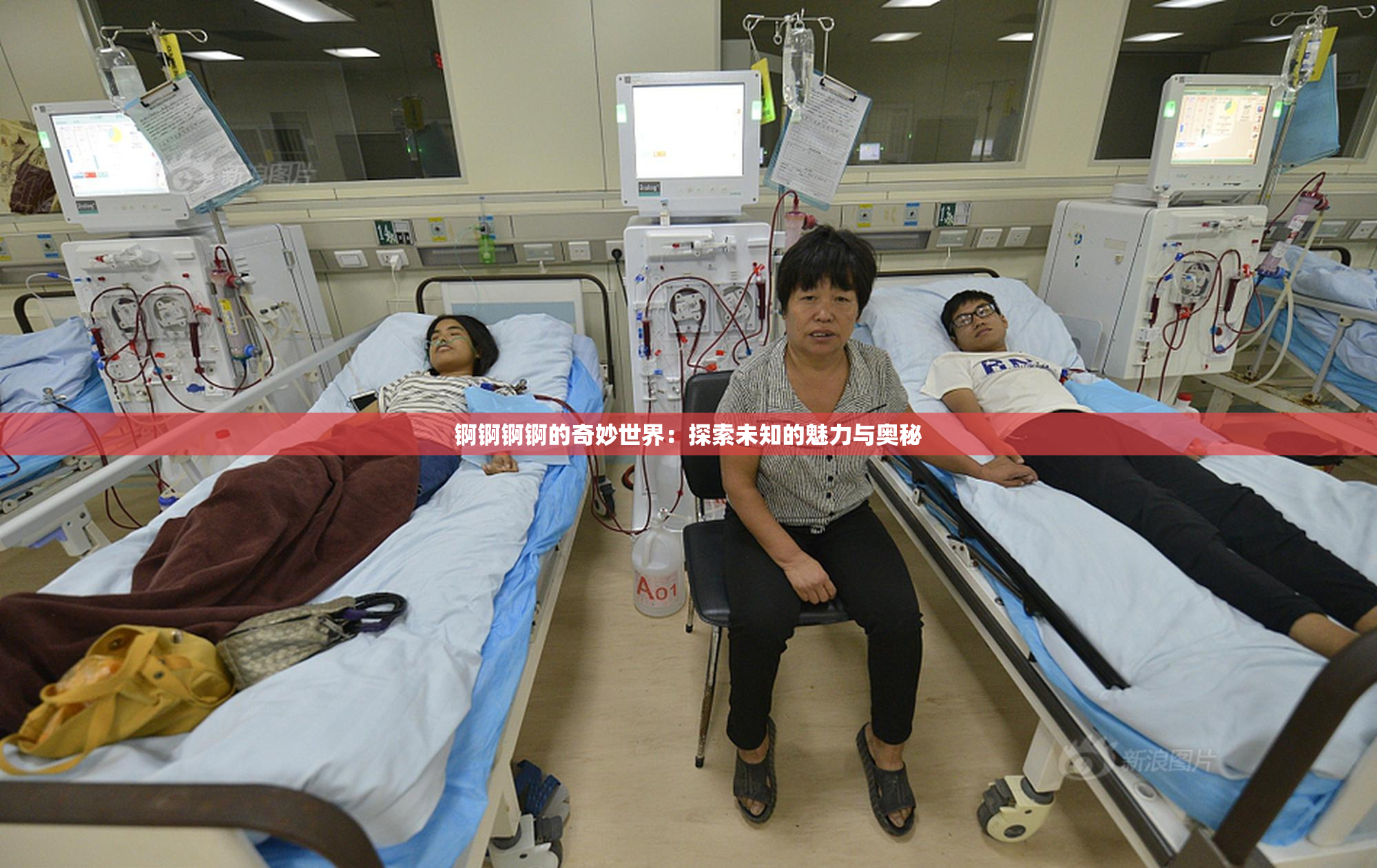 锕锕锕锕的奇妙世界：探索未知的魅力与奥秘