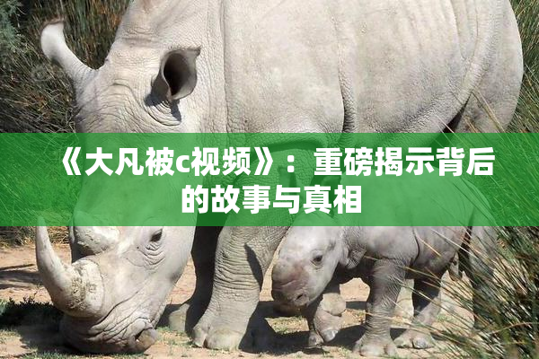 《大凡被c视频》：重磅揭示背后的故事与真相
