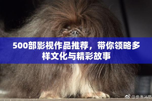 500部影视作品推荐，带你领略多样文化与精彩故事