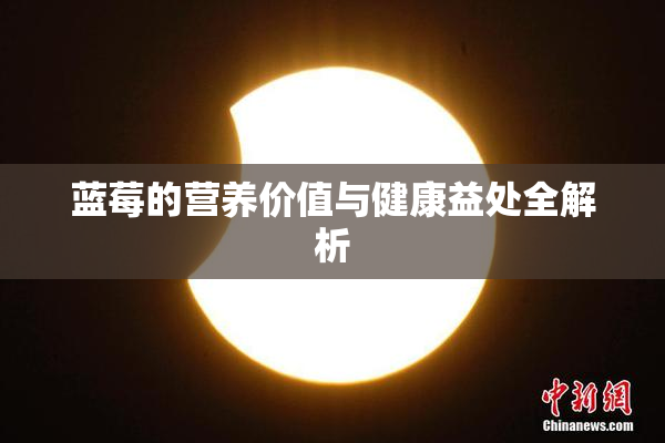蓝莓的营养价值与健康益处全解析