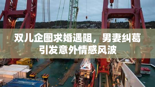 双儿企图求婚遇阻，男妻纠葛引发意外情感风波