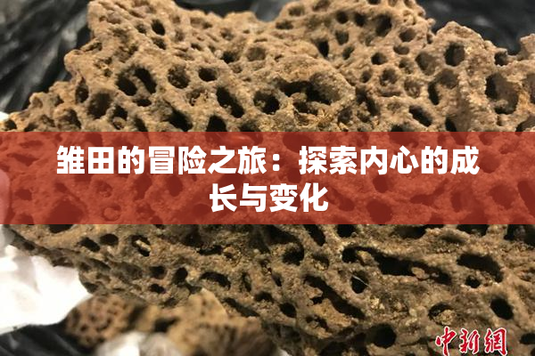 雏田的冒险之旅：探索内心的成长与变化