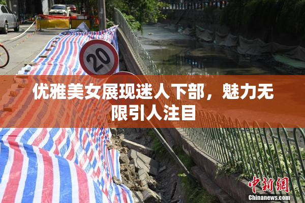 优雅美女展现迷人下部，魅力无限引人注目