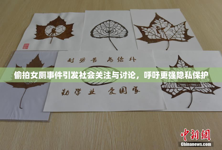 偷拍女厕事件引发社会关注与讨论，呼吁更强隐私保护