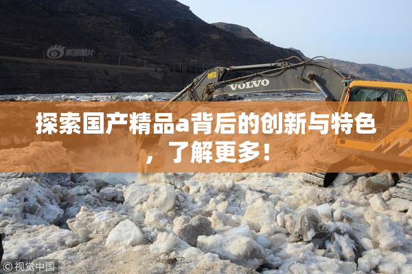 探索国产精品a背后的创新与特色，了解更多！