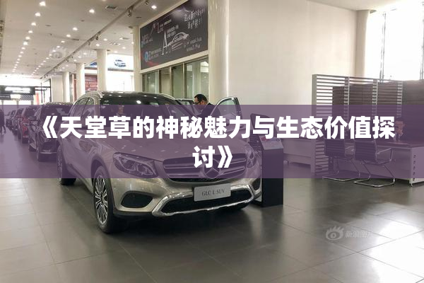 《天堂草的神秘魅力与生态价值探讨》