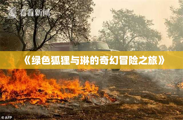 《绿色狐狸与琳的奇幻冒险之旅》