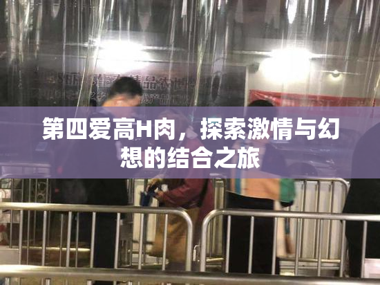 第四爱高H肉，探索激情与幻想的结合之旅