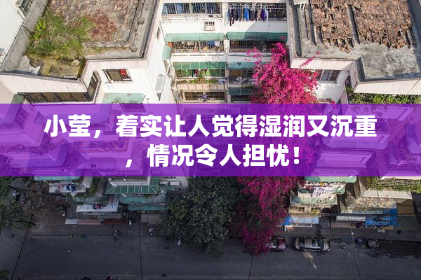 小莹，着实让人觉得湿润又沉重，情况令人担忧！