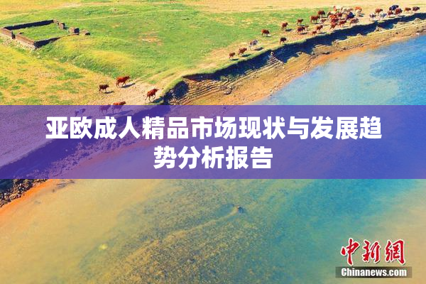 亚欧成人精品市场现状与发展趋势分析报告