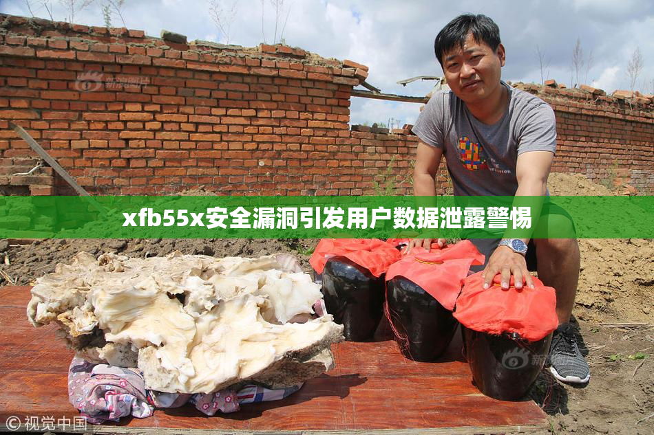 xfb55x安全漏洞引发用户数据泄露警惕