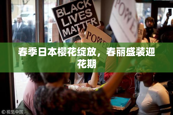 春季日本樱花绽放，春丽盛装迎花期