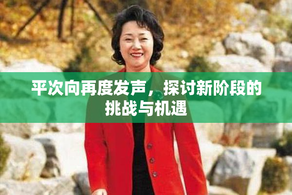 平次向再度发声，探讨新阶段的挑战与机遇