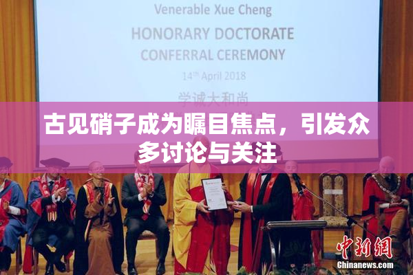古见硝子成为瞩目焦点，引发众多讨论与关注