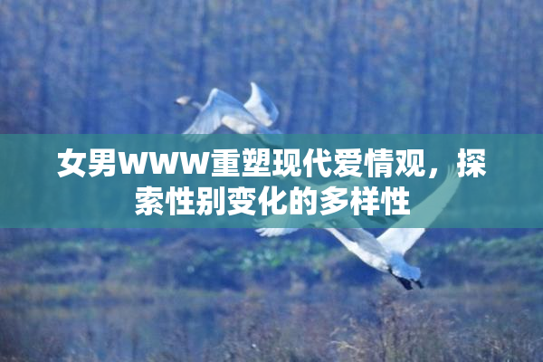 女男WWW重塑现代爱情观，探索性别变化的多样性