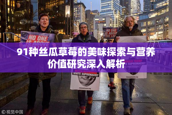91种丝瓜草莓的美味探索与营养价值研究深入解析