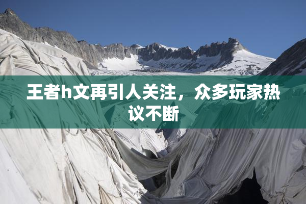 王者h文再引人关注，众多玩家热议不断