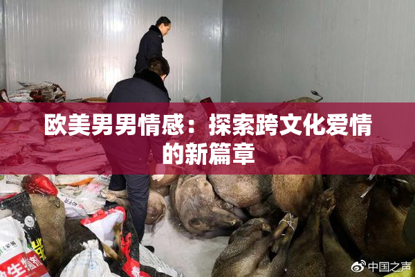欧美男男情感：探索跨文化爱情的新篇章