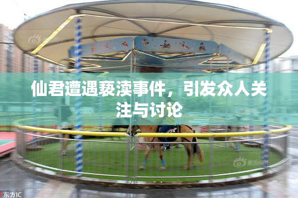 仙君遭遇亵渎事件，引发众人关注与讨论
