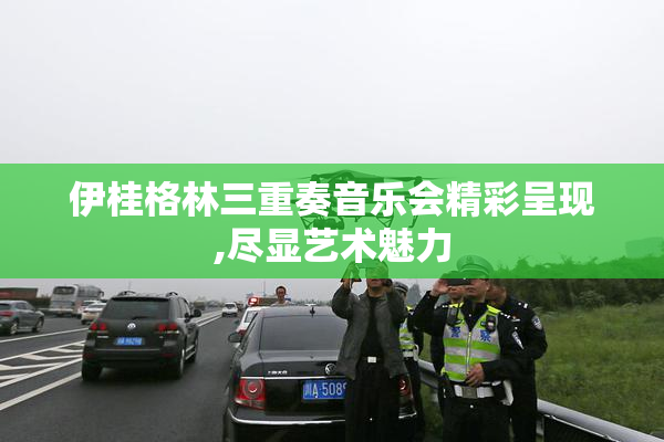 伊桂格林三重奏音乐会精彩呈现,尽显艺术魅力