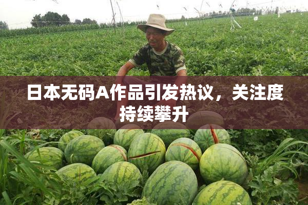 日本无码A作品引发热议，关注度持续攀升