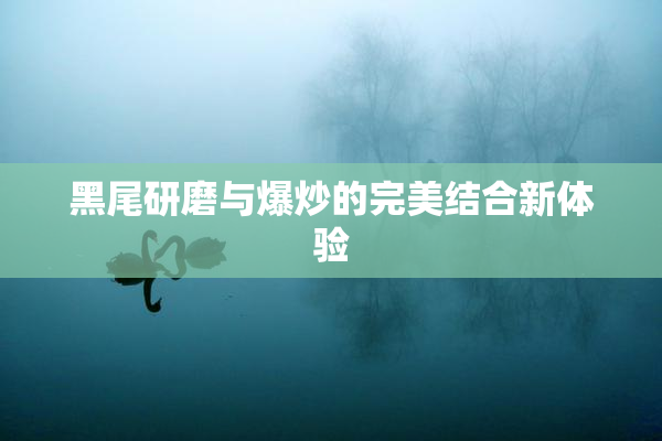 黑尾研磨与爆炒的完美结合新体验