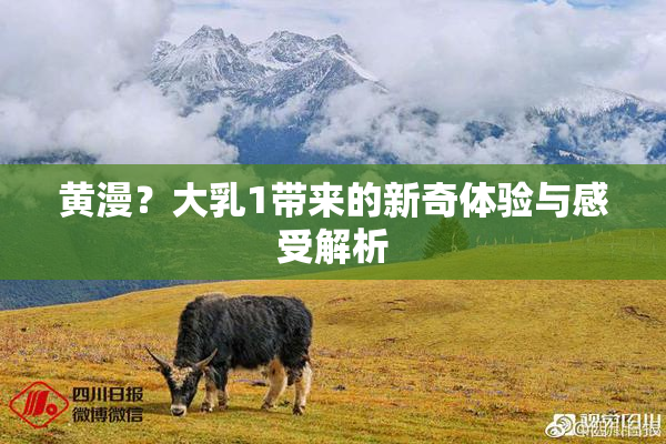 黄漫？大乳1带来的新奇体验与感受解析
