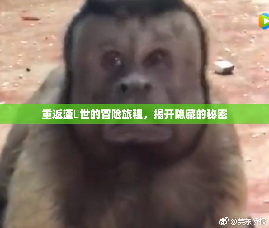 重返湮婸世的冒险旅程，揭开隐藏的秘密