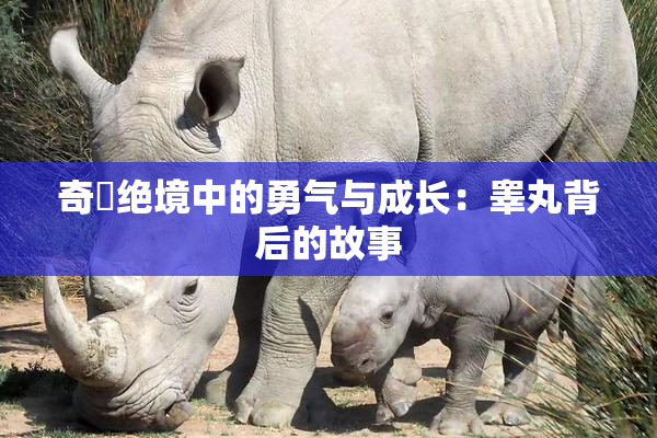 奇犽绝境中的勇气与成长：睾丸背后的故事