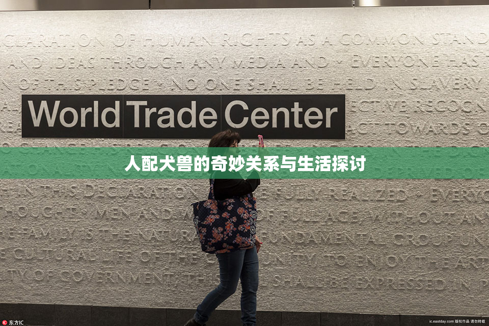 人配犬兽的奇妙关系与生活探讨