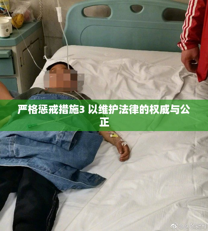严格惩戒措施3 以维护法律的权威与公正