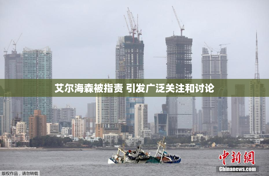 艾尔海森被指责 引发广泛关注和讨论