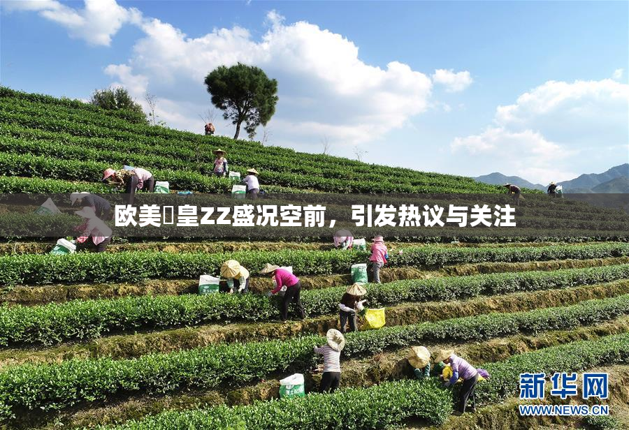 欧美嘼皇ZZ盛况空前，引发热议与关注