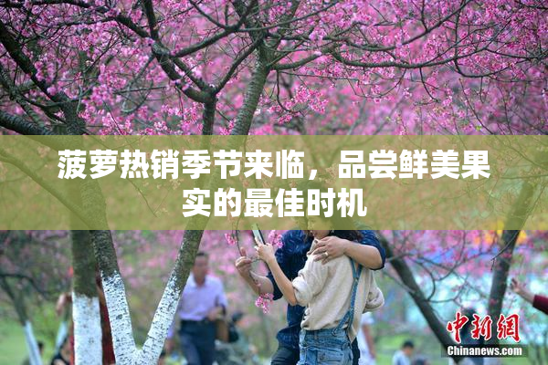 菠萝热销季节来临，品尝鲜美果实的最佳时机