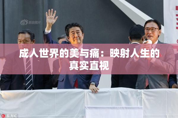 成人世界的美与痛：映射人生的真实直视