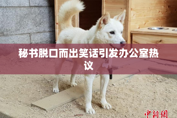 秘书脱口而出笑话引发办公室热议