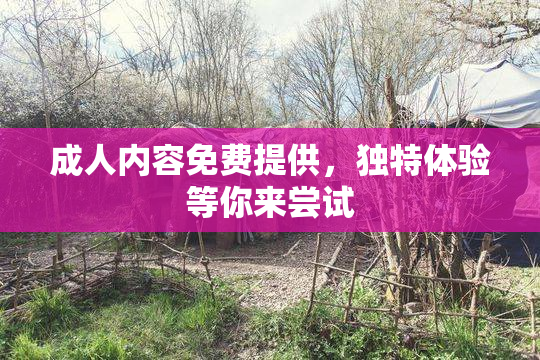 成人内容免费提供，独特体验等你来尝试