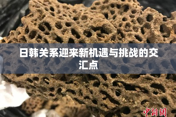 日韩关系迎来新机遇与挑战的交汇点