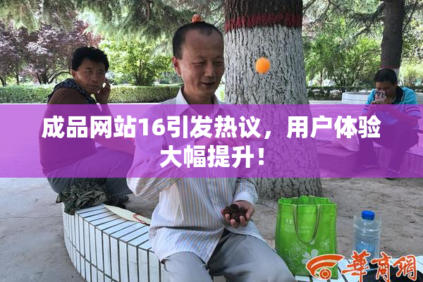 成品网站16引发热议，用户体验大幅提升！