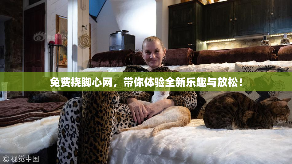 免费挠脚心网，带你体验全新乐趣与放松！
